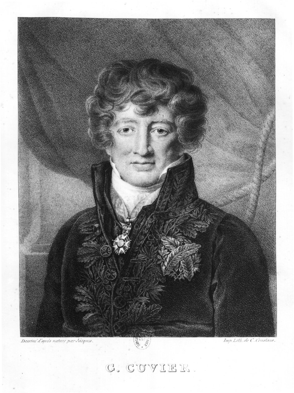 Georges Cuvier的肖像（1769-1832） 作者 雅克