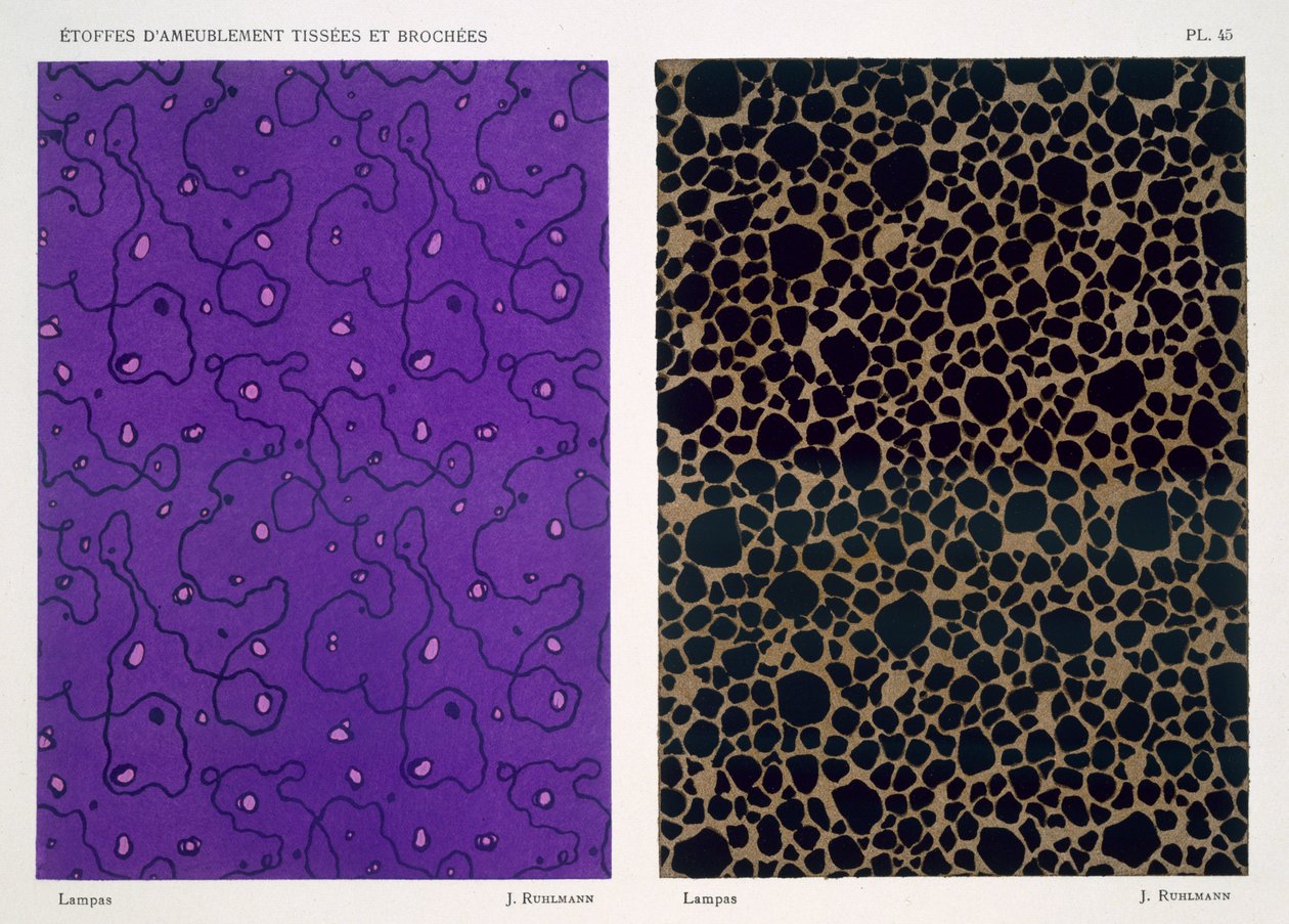 Lampas，来自Leon Moussinac的“Woven and Brocaded Upholstery Fabrics”，于1925年出版 作者 雅克·埃米尔·鲁尔曼