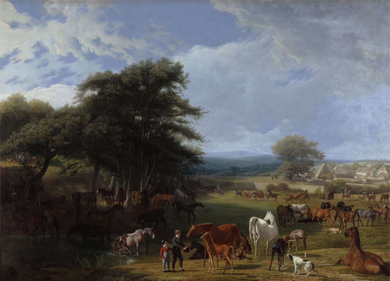 Lord Riverss Stud Farm，Stratfield Saye 作者 雅克·洛朗·阿加斯