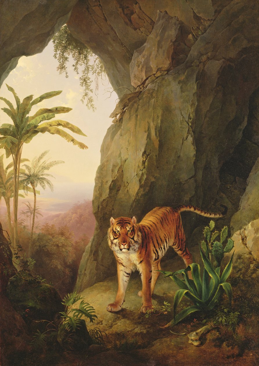 老虎在一个山洞里，c.1814 作者 雅克·洛朗·阿加斯