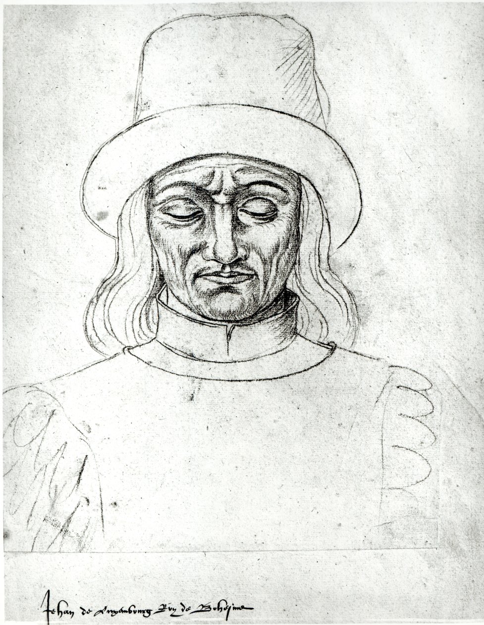来自&39;Recueil d&39;Arras&39;的波士顿国王卢森堡（1296-1346）约翰逊女士266 作者 雅克·勒·布克