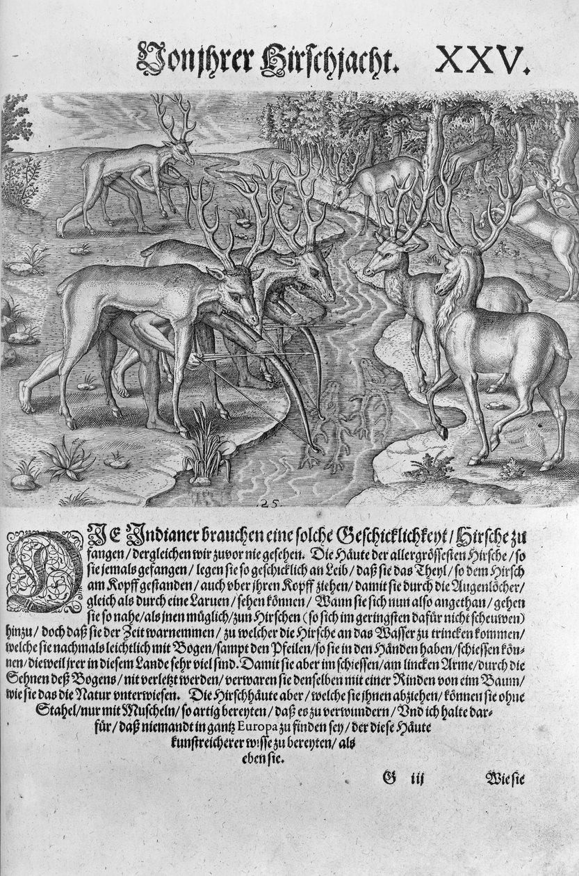 佛罗里达印第安人狩猎鹿，同时在鹿皮下伪装，来自Theodor de Bry（1528-98）1591年刻的&39;Americae Decima Pars&39; 作者 雅克·勒·摩恩（Jacques Le Moyne）