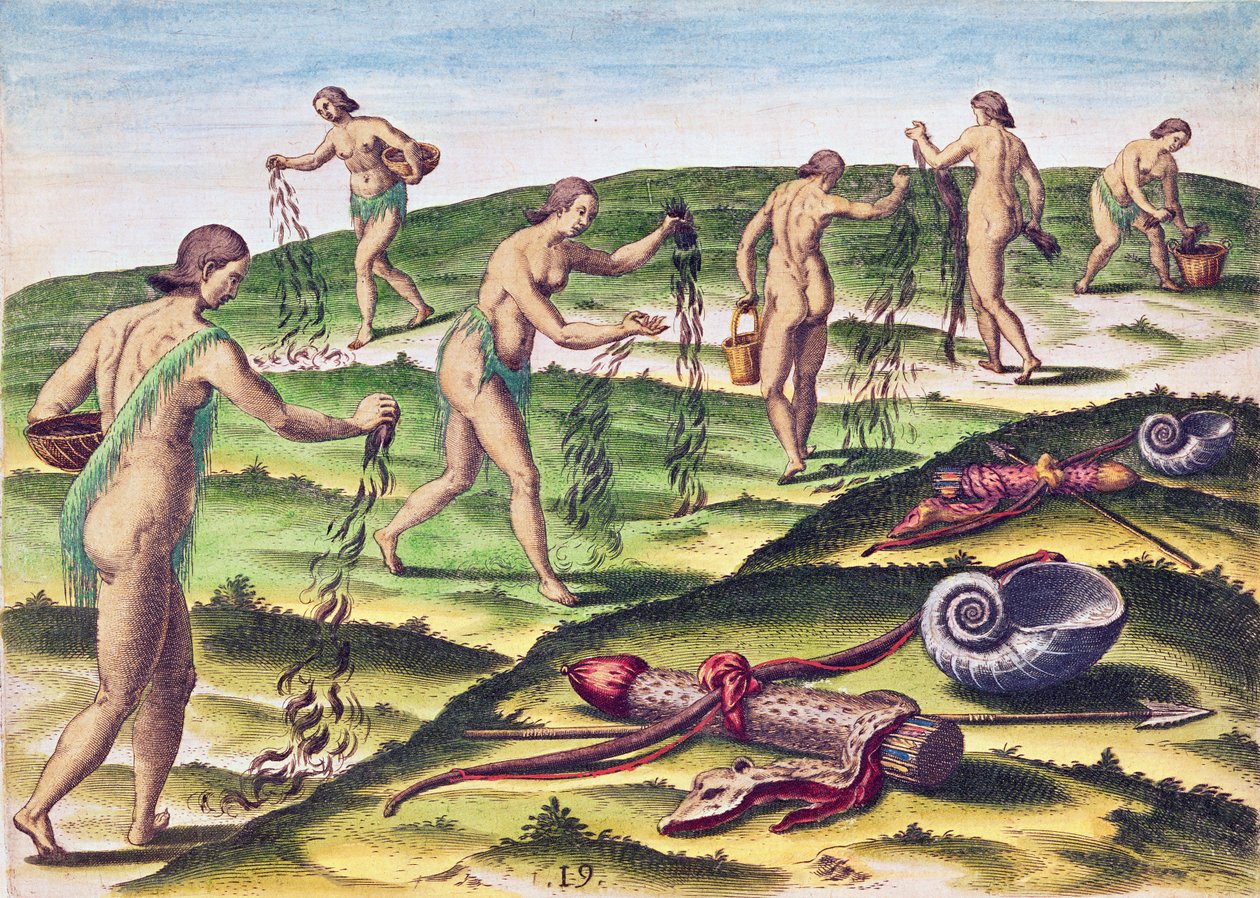 来自&39;Brevis Narratio ..&39;的女性如何哀悼，由Theodore de Bry（1528-98）在1591年法兰克福出版 作者 雅克·勒·摩恩（Jacques Le Moyne）