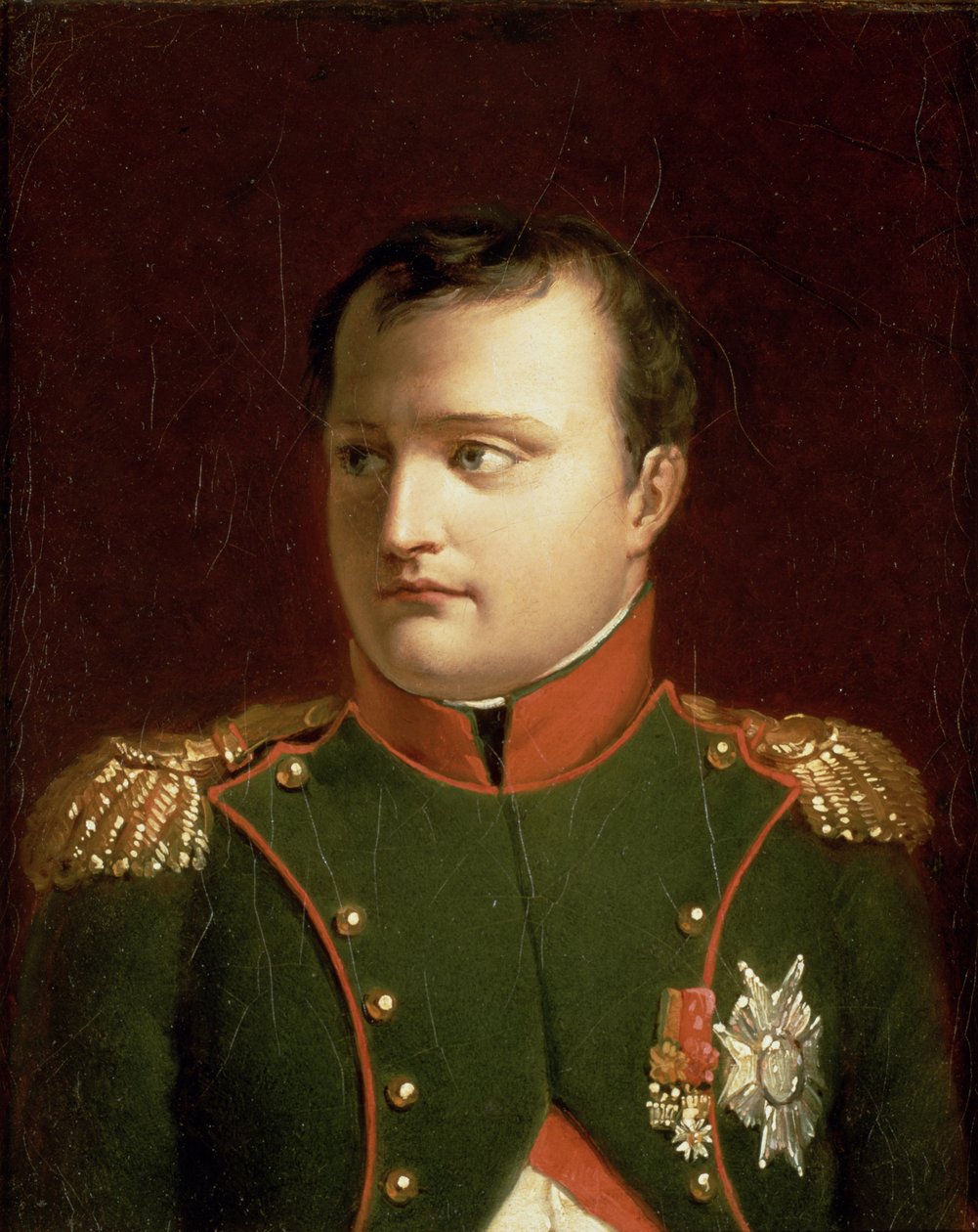 Napoleon Bonaparte（1769-1821）（石油） 作者 雅克·路易·大卫