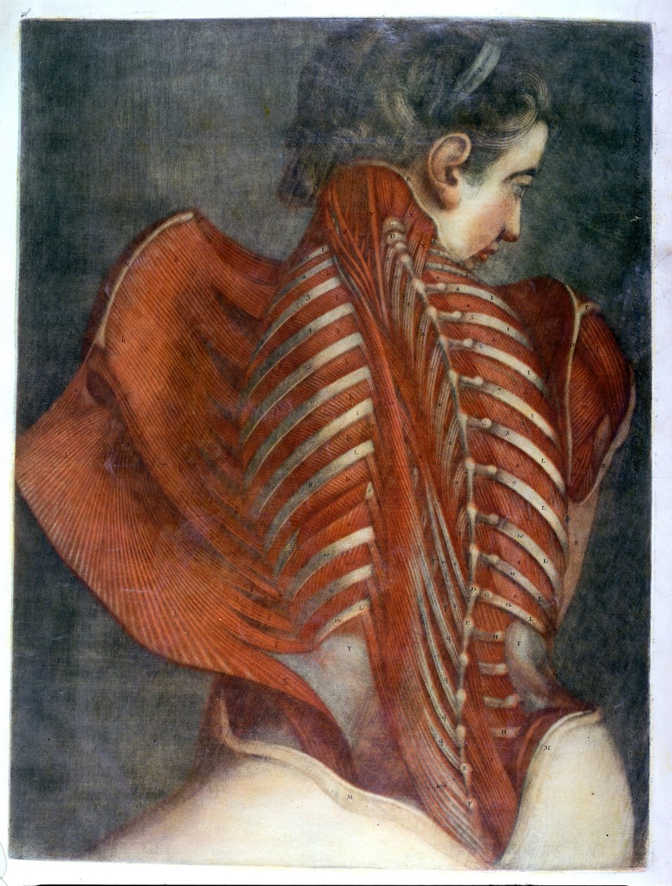 &39;The Flayed Angel&39;，来自&39;颜色和自然大小的完整神学&39;，1746年（mezzotint） 作者 雅克·法比恩·高蒂埃·达戈蒂