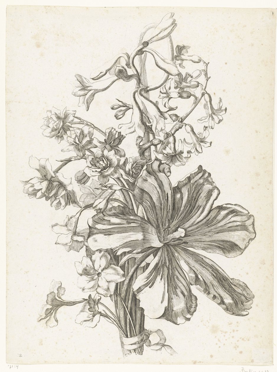 郁金香、风信子、金鸡菊和水仙的花束
Diverses Fleurs mises en Boucquets（系列名称） 作者 雅克·贝利（一）