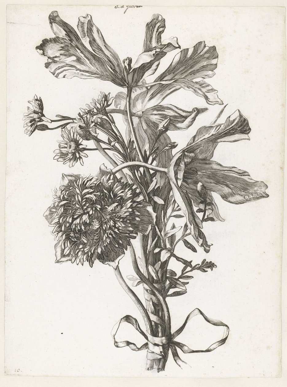 花束中的郁金香、银莲花和仙客来
Diverses Fleurs mises en Boucquets（系列名称） 作者 雅克·贝利（一）