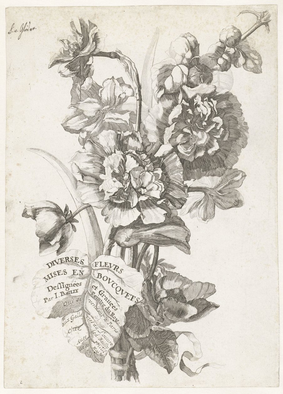 带一束牡丹的扉页
Titelblad：花束中的各种花朵
Diverses Fleurs mises en Boucquets（作品上的系列名称）
Diverses Fleurs mises en Boucquets（系列标题） 作者 雅克·贝利（一）