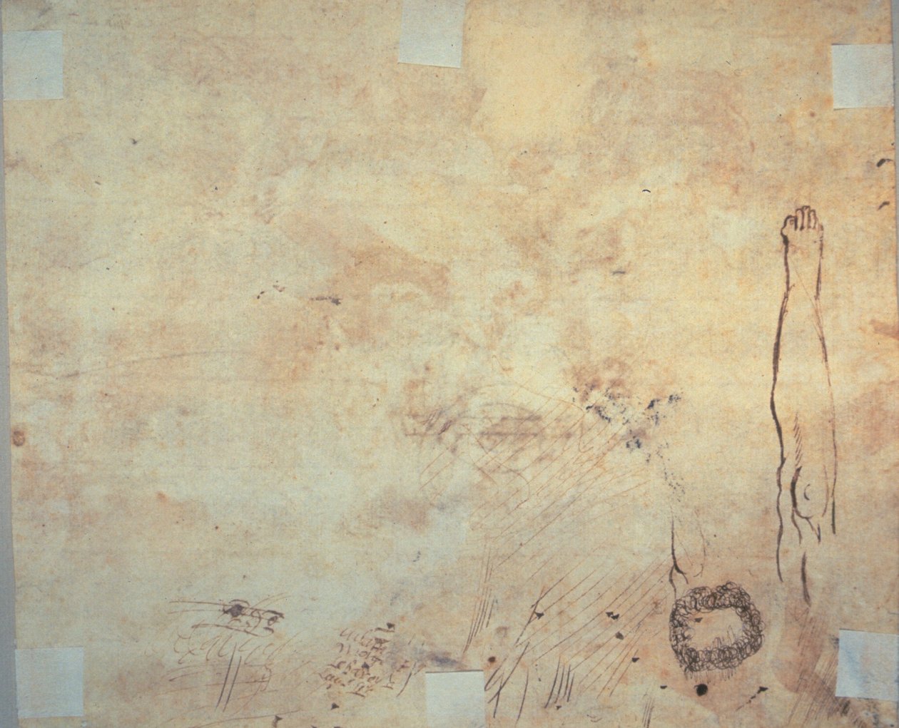 腿部研究、浮雕和涂鸦 作者 雅克·贝兰芝
