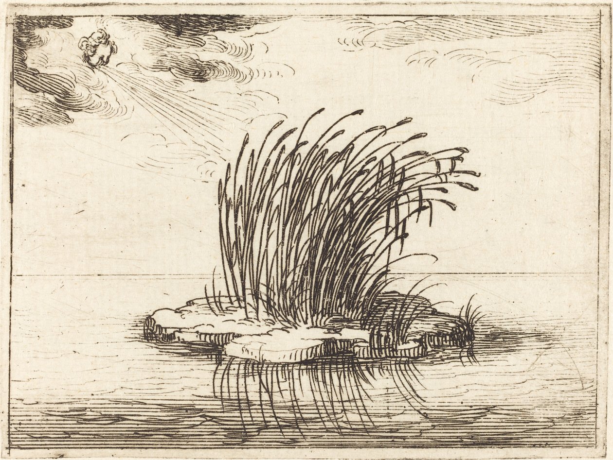 芦苇和风》，1628年。 作者 雅克·卡洛