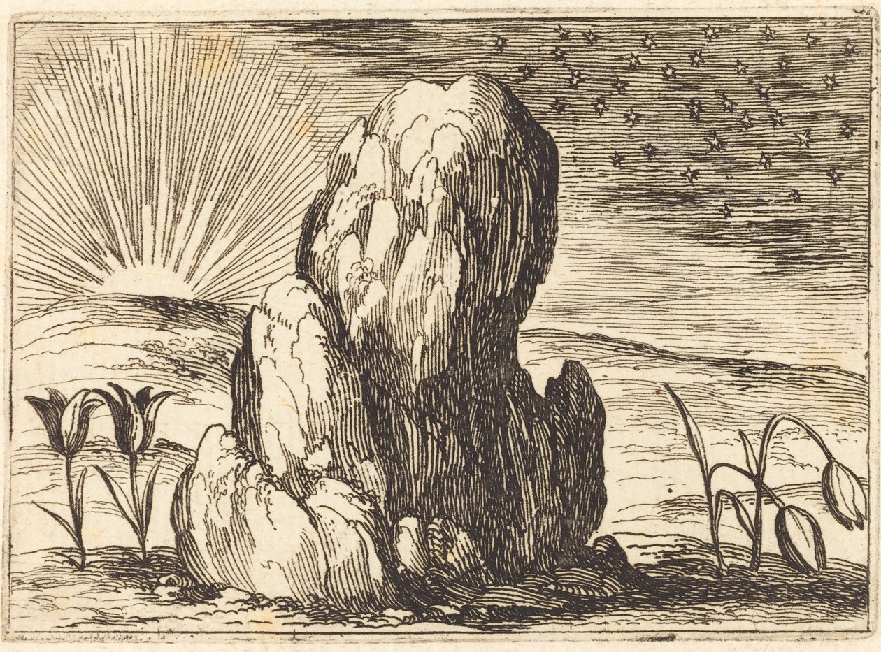 郁金香与太阳》，1628年。 作者 雅克·卡洛