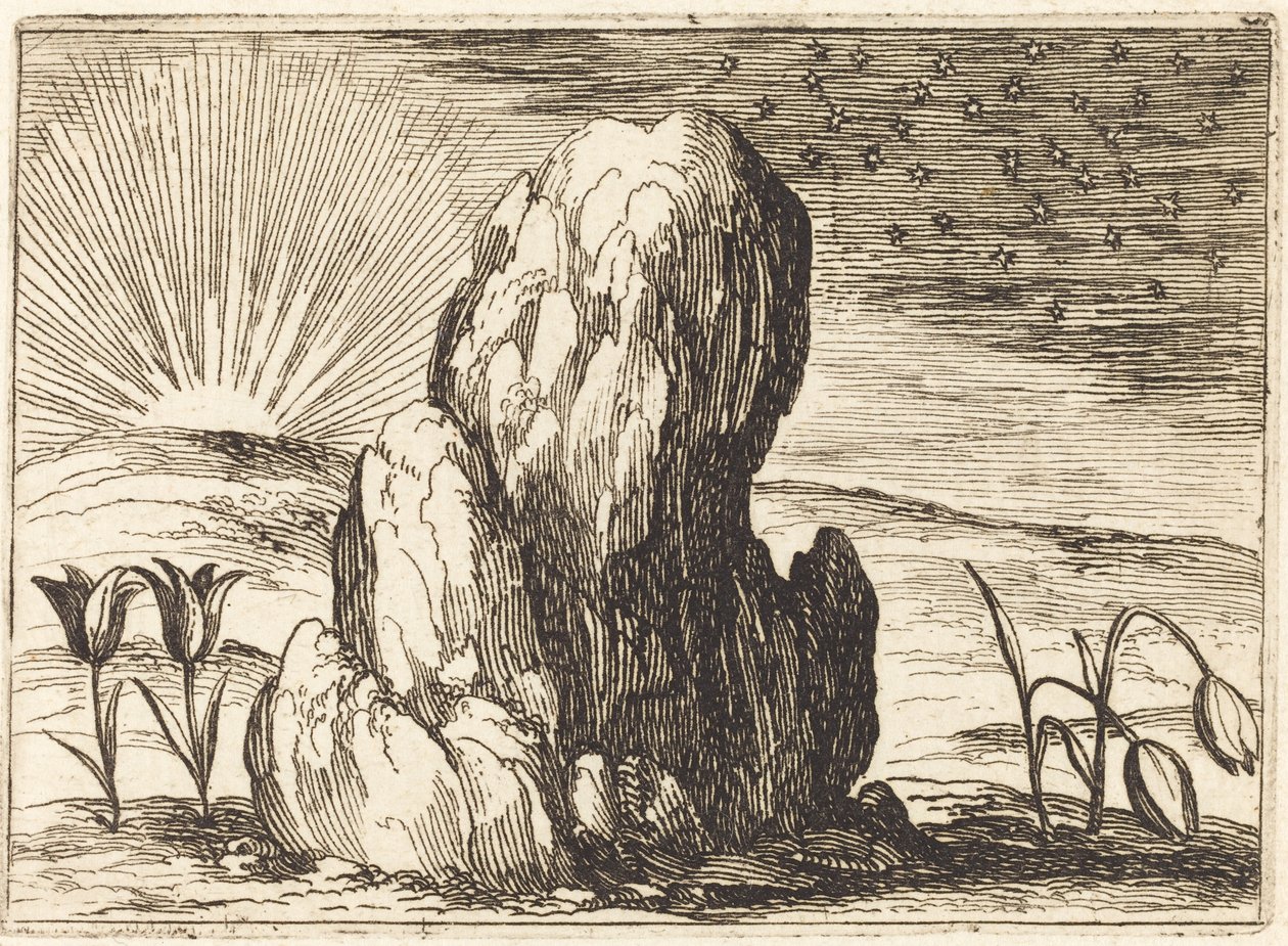 郁金香与太阳》，1628年。 作者 雅克·卡洛