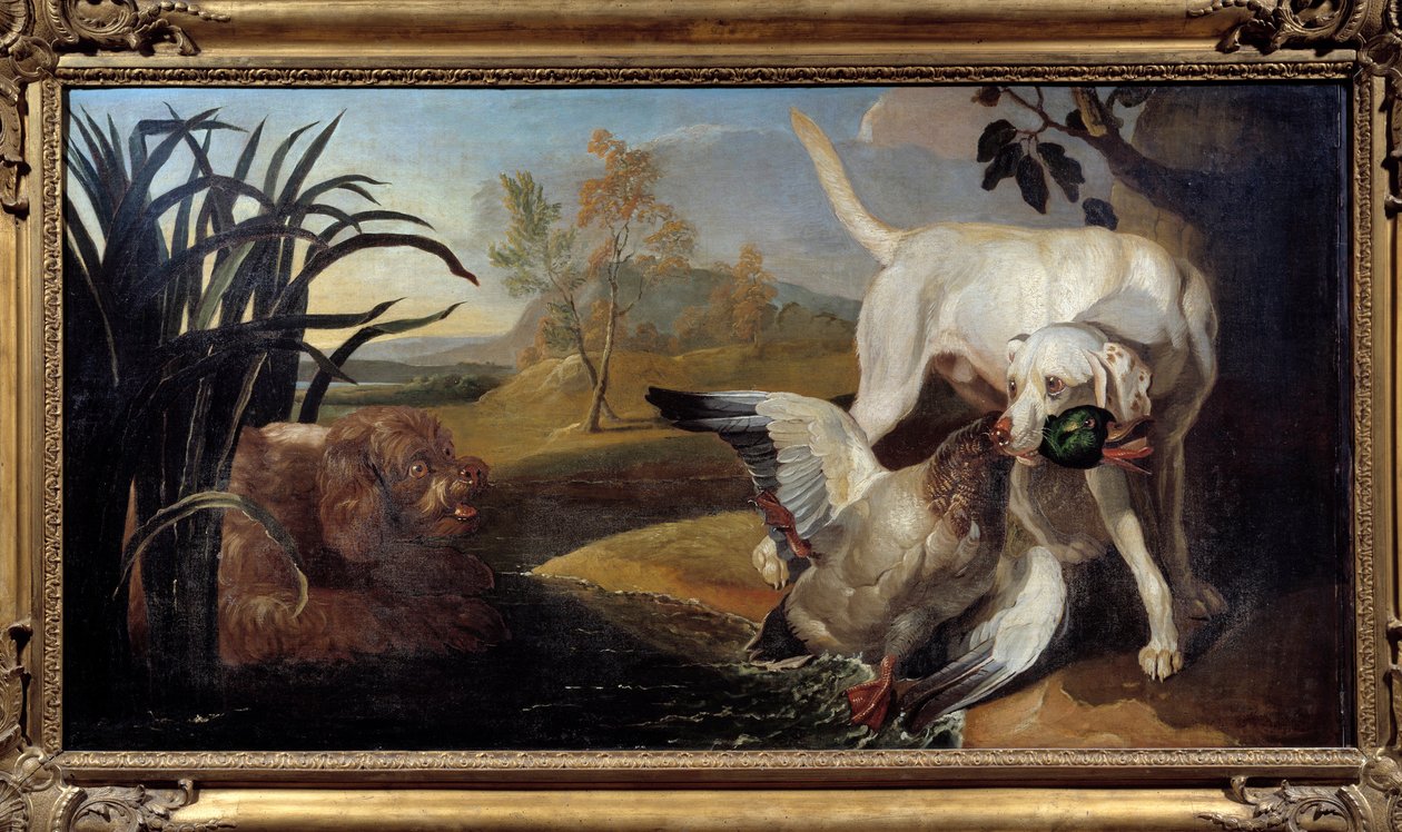 布拉克狗嘴里叼着一只绿头鸭 Jacques Charles Oudry (1720-1778) 绘画 18 世纪巴黎，装饰艺术 作者 雅克·查尔斯·奥德里