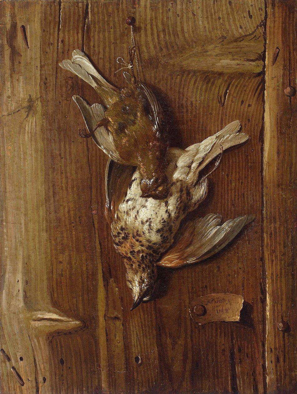死鸟（鸫鸟和野鸟） 作者 雅克·查尔斯·奥德里