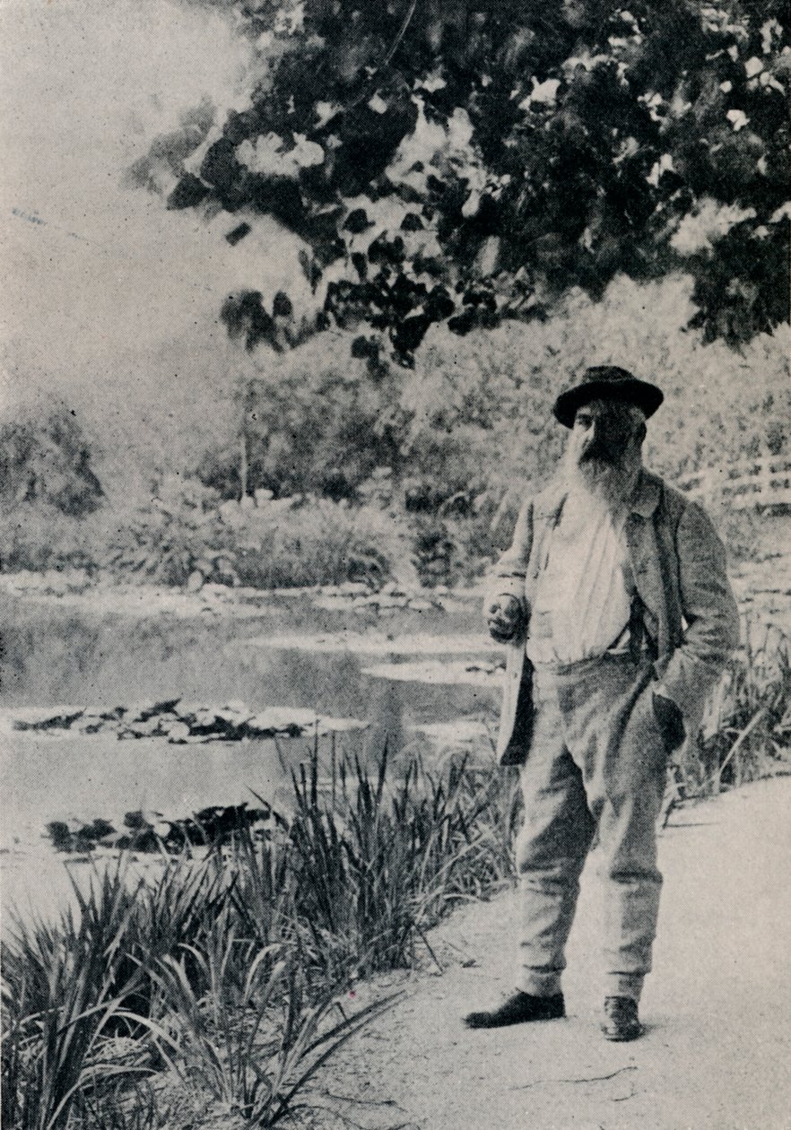 克劳德-莫奈，吉维尼》，1905年 作者 雅克·欧内斯特·布卢兹
