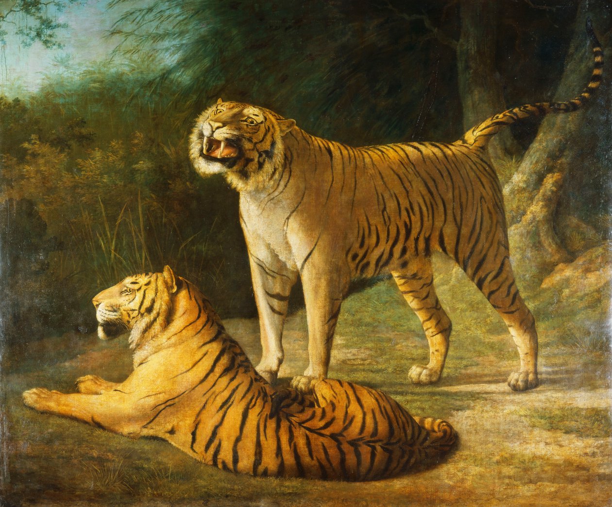 埃克塞特的虎与虎”，1808年的变迁，1808年 作者 雅克·洛朗·阿加斯