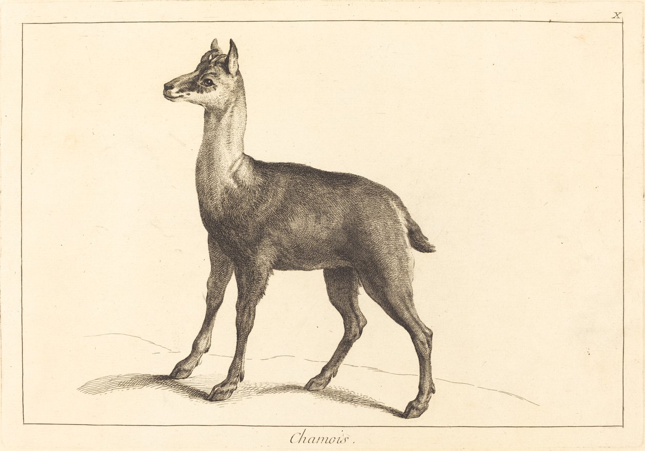 羚羊 作者 Jacques Philippe Le Bas 和 Jean Eric Rehn 在 Jean Baptiste Oudry 之后