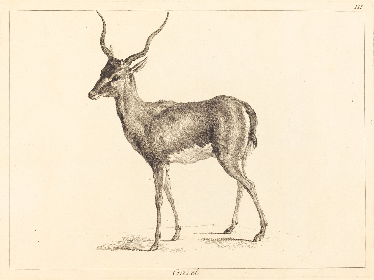 羚羊 (Gazel) 作者 Jacques Philippe Le Bas 和 Jean Eric Rehn 在 Jean Baptiste Oudry 之后