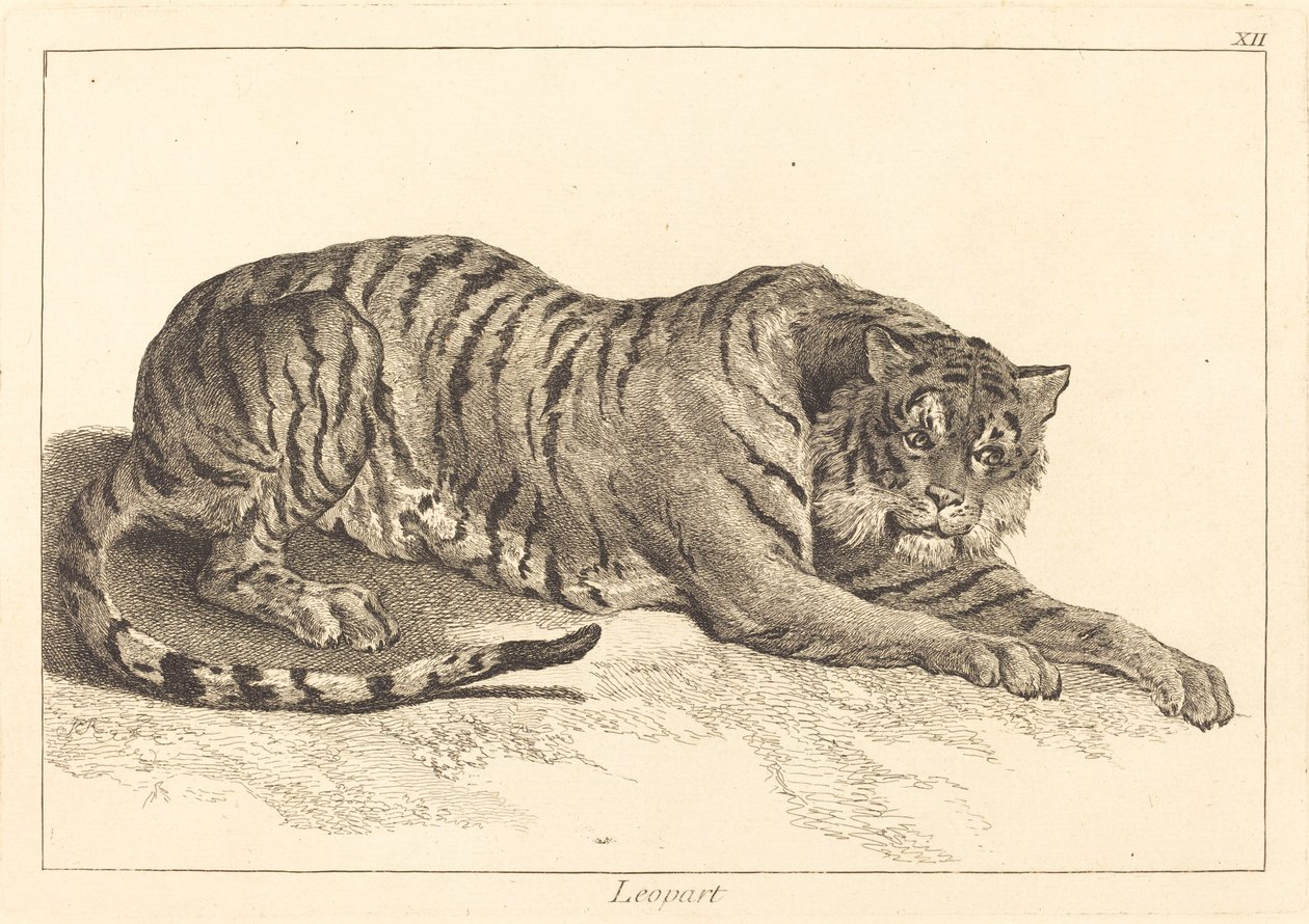 豹纹或虎纹 作者 Jacques Philippe Le Bas 和 Jean Eric Rehn 在 Jean Baptiste Oudry 之后