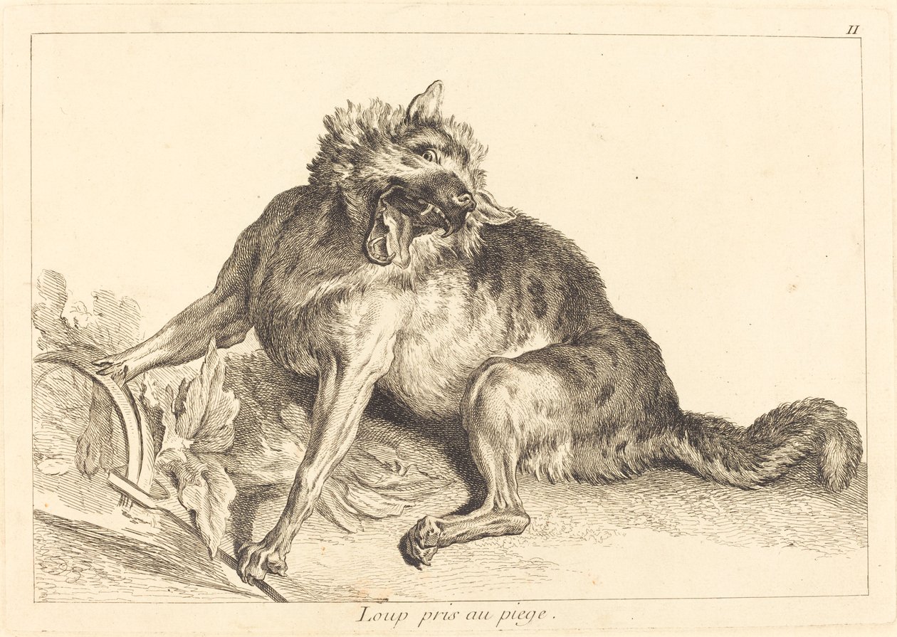 狼入陷阱 作者 Jacques Philippe Le Bas 和 Jean Eric Rehn 在 Jean Baptiste Oudry 之后