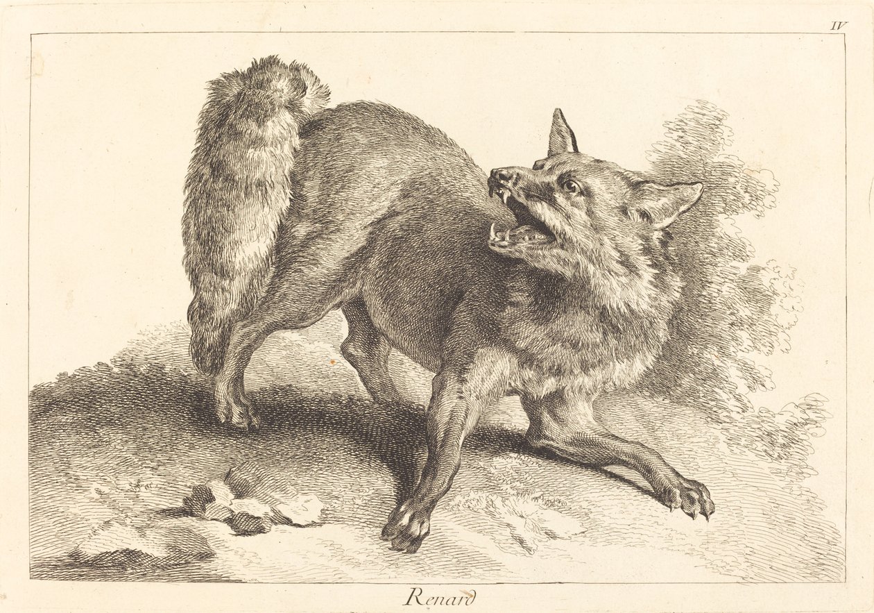 雷纳（福克斯） 作者 Jacques Philippe Le Bas 和 Jean Eric Rehn 在 Jean Baptiste Oudry 之后