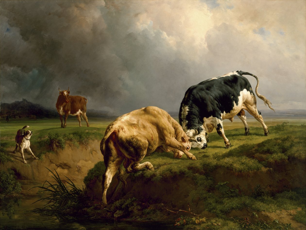 公牛斗争，1855年 作者 雅克·雷蒙·布拉斯卡萨