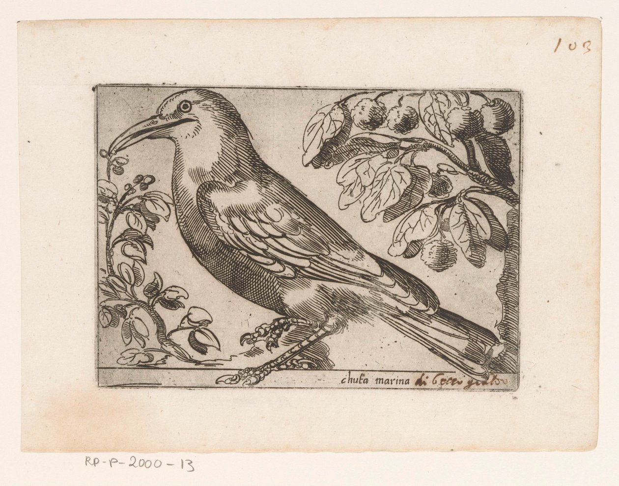 沃格尔
Chuta 码头（物体上的标题）
Vogels（系列名称） 作者 雅克·德·福纳泽里斯（可能）