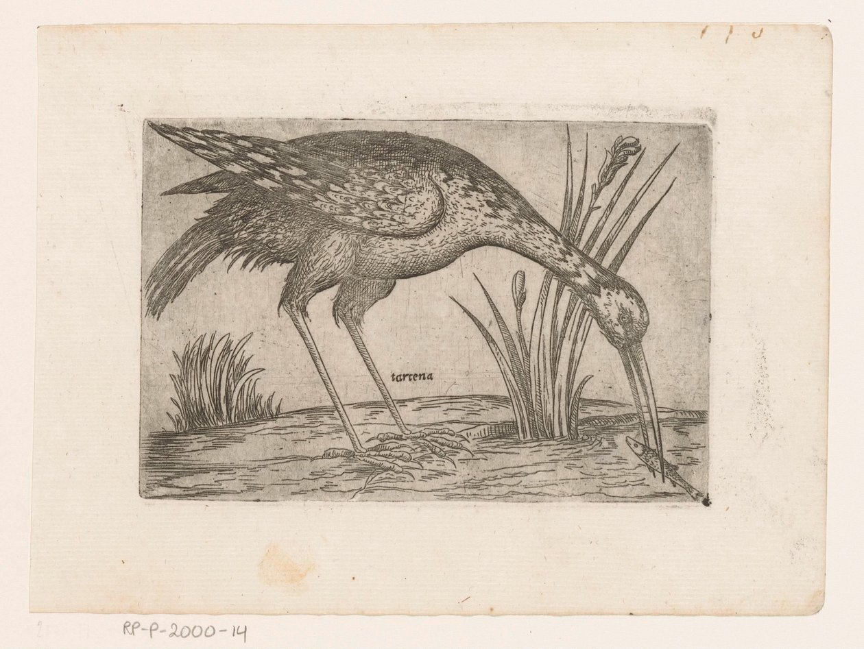 沃格尔
Tartena （物品上的标题）
Vogels（系列名称） 作者 雅克·德·福纳泽里斯（可能）