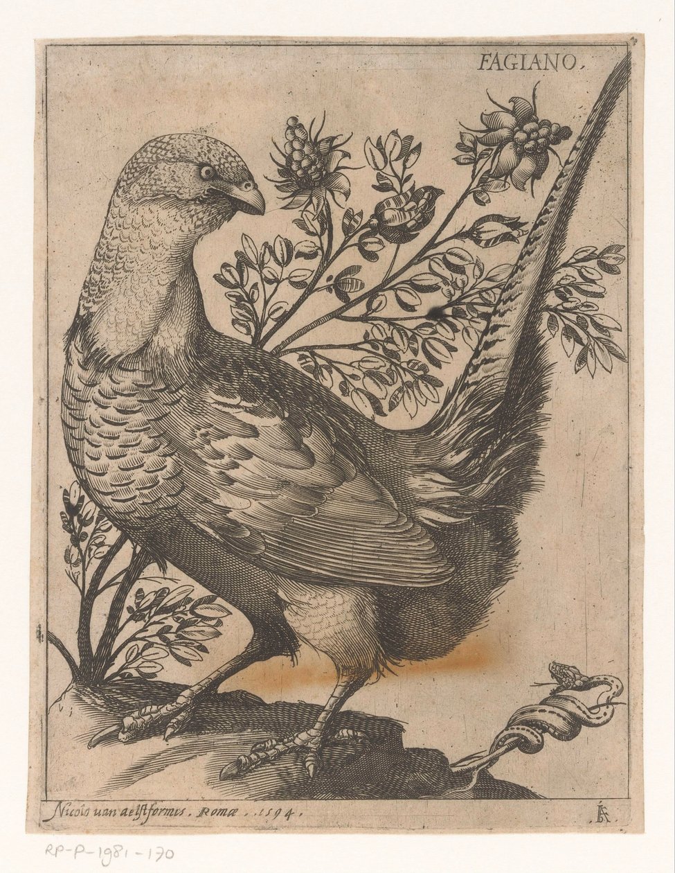 法赞
Fagiano （物品上的标题）
Negen vogels（系列名称） 作者 雅克·德·福纳泽里斯