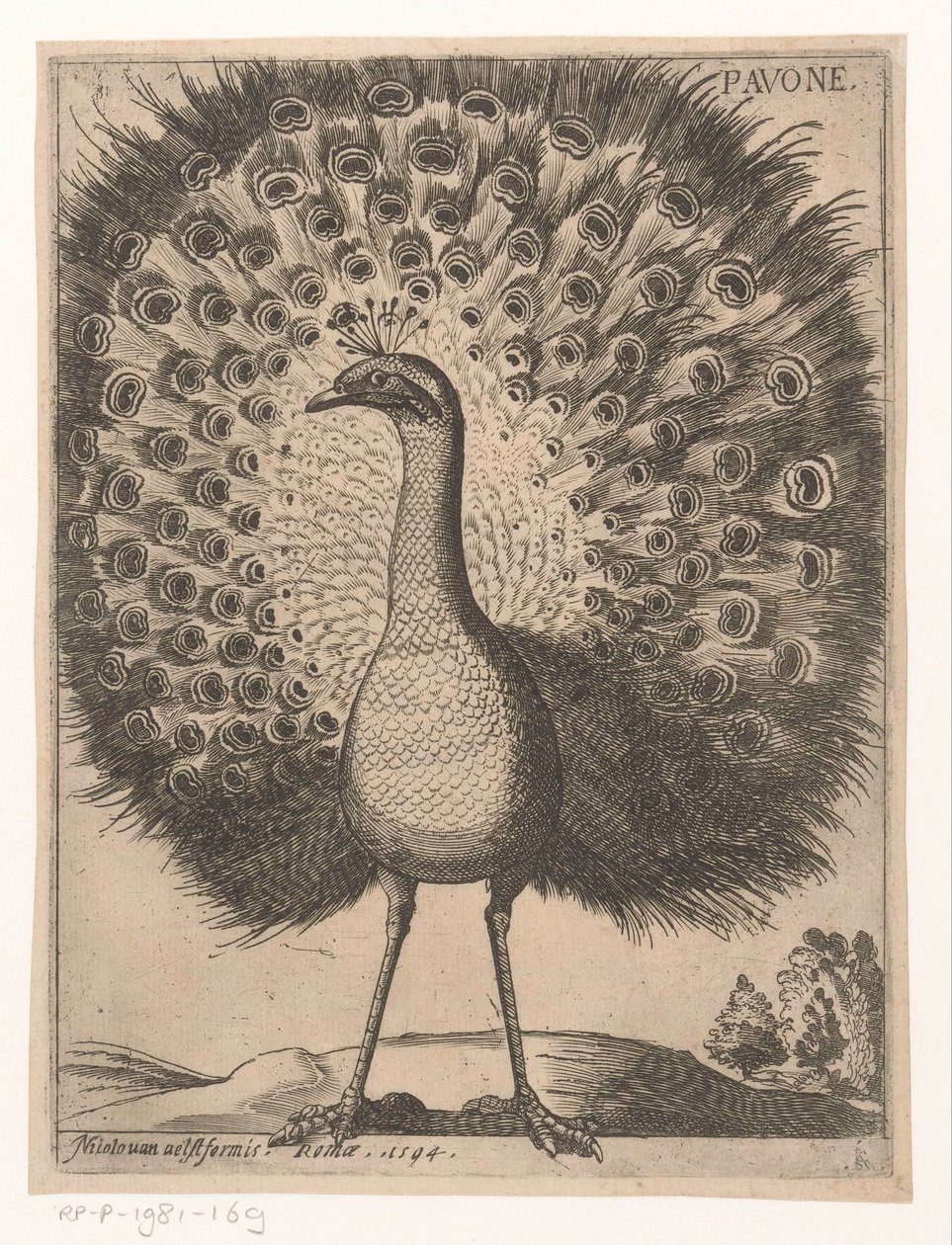 帕沃
Pavone （物品上的标题）
Negen vogels（系列名称） 作者 雅克·德·福纳泽里斯