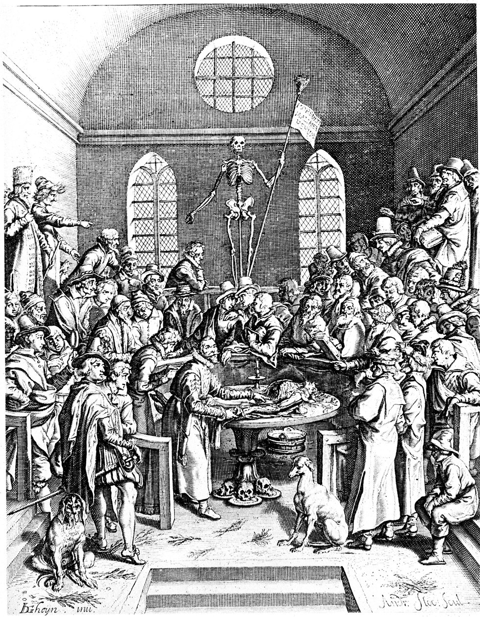 1633年后期的解剖学剧院，雅克·德·盖恩（Jacques de Gehyn），1633年 作者 雅克·德·盖恩