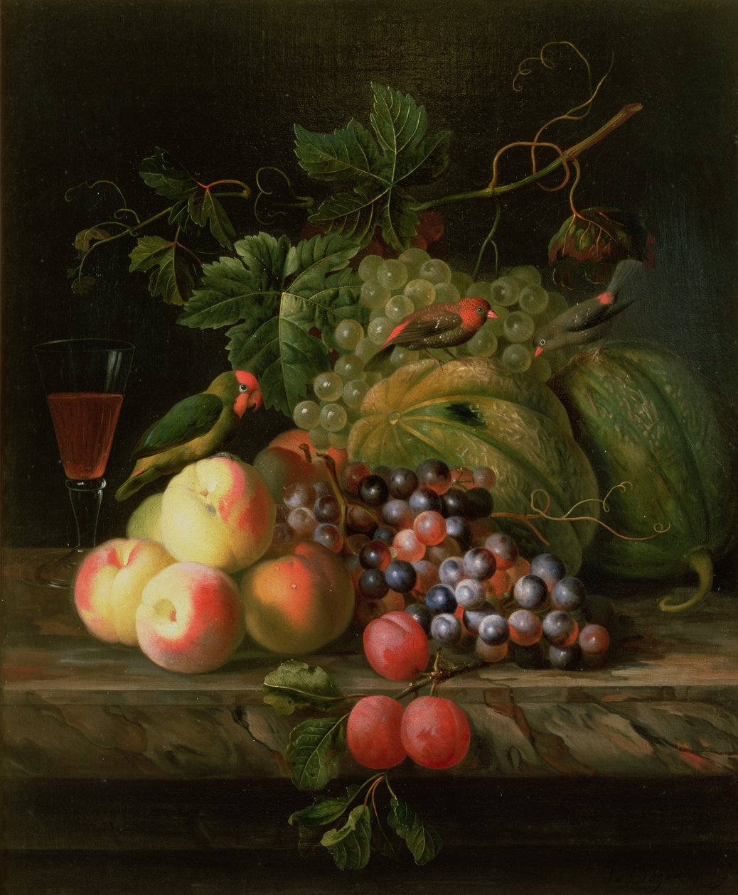 果子静物画在壁架的与长尾小鹦鹉 作者 雅各布博格达尼或博格达尼