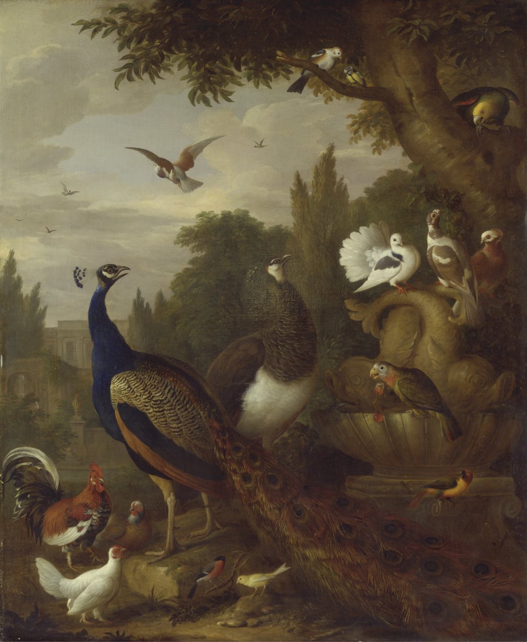孔雀，peahen，鹦鹉，金丝雀和其他鸟类在公园，c.1708-10 作者 雅各布博格达尼或博格达尼