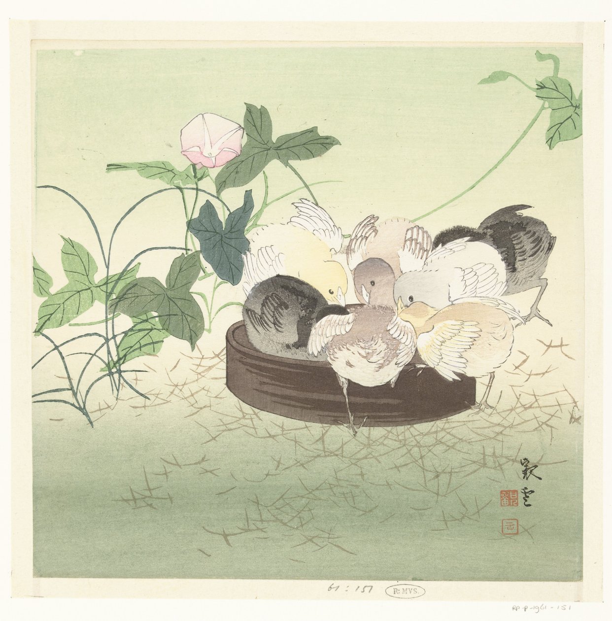小鸡 作者 贾昆（可能）