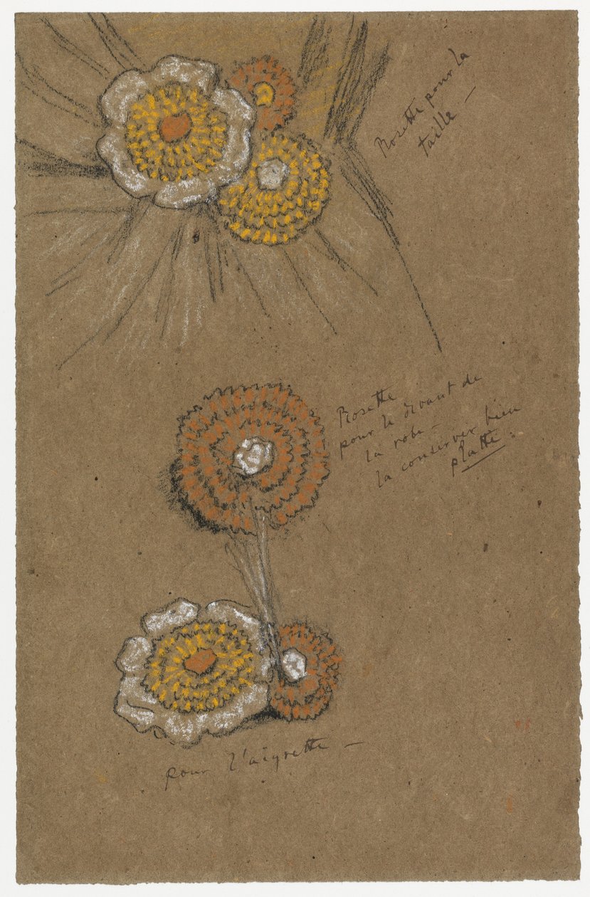 玫瑰花的研究，1871-74（棕色纸上的黑色和白色粉笔） 作者 詹姆斯·阿博特·麦克尼尔·惠斯勒