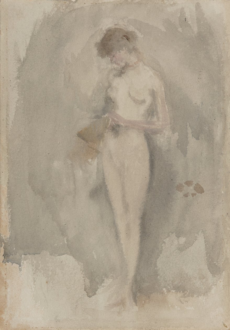 研究&39;高大的花&39;，c.1886 作者 詹姆斯·阿博特·麦克尼尔·惠斯勒