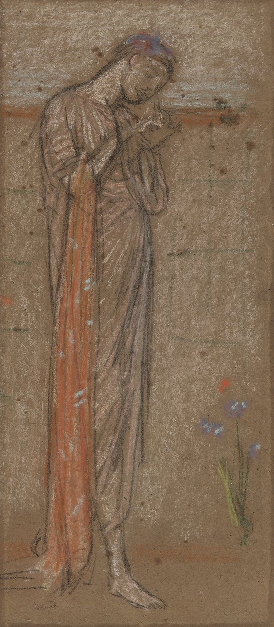紫色鸢尾花，1871-72（棕色纸上的粉笔和粉彩） 作者 詹姆斯·阿博特·麦克尼尔·惠斯勒