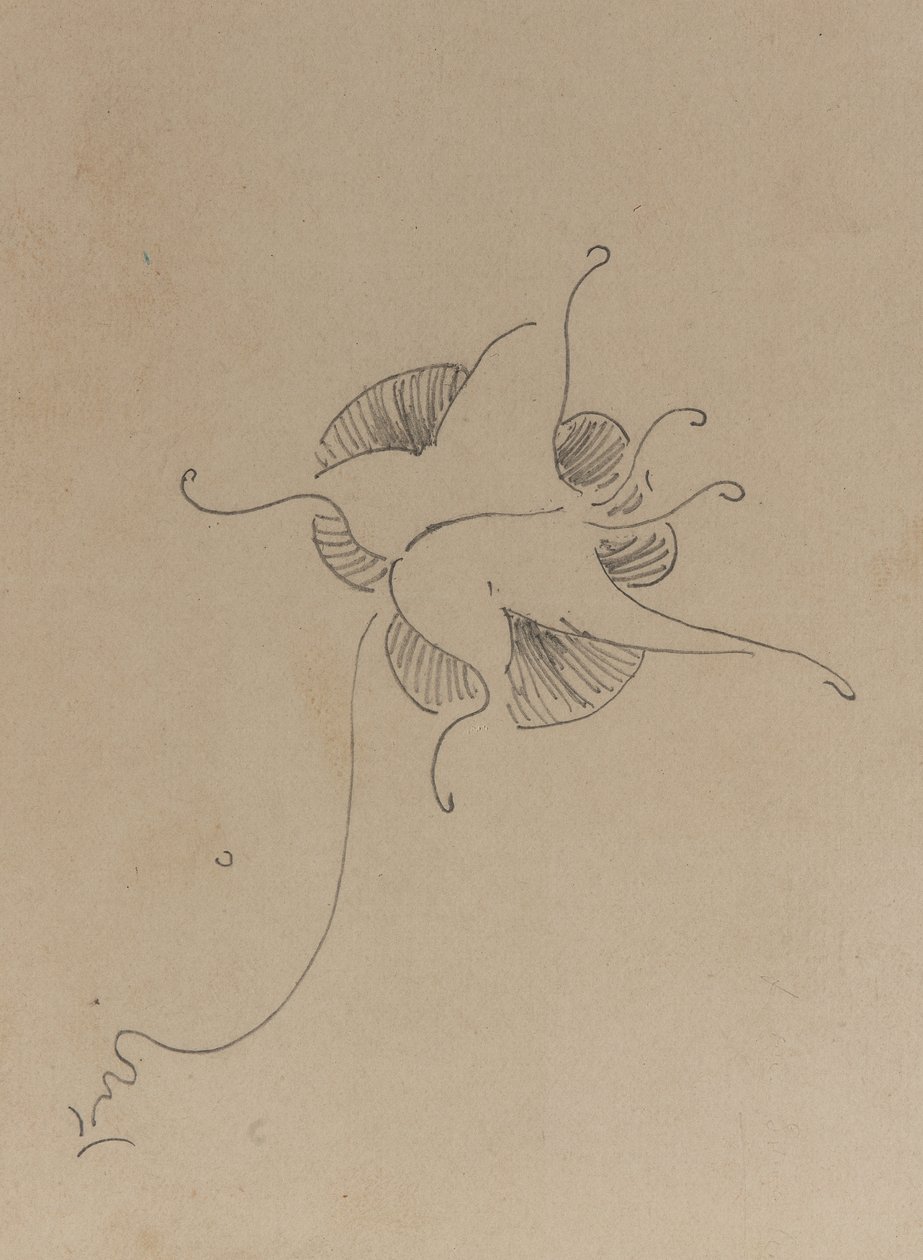 惠斯勒的蝴蝶，1890年（铅笔在纸板上） 作者 詹姆斯·阿博特·麦克尼尔·惠斯勒