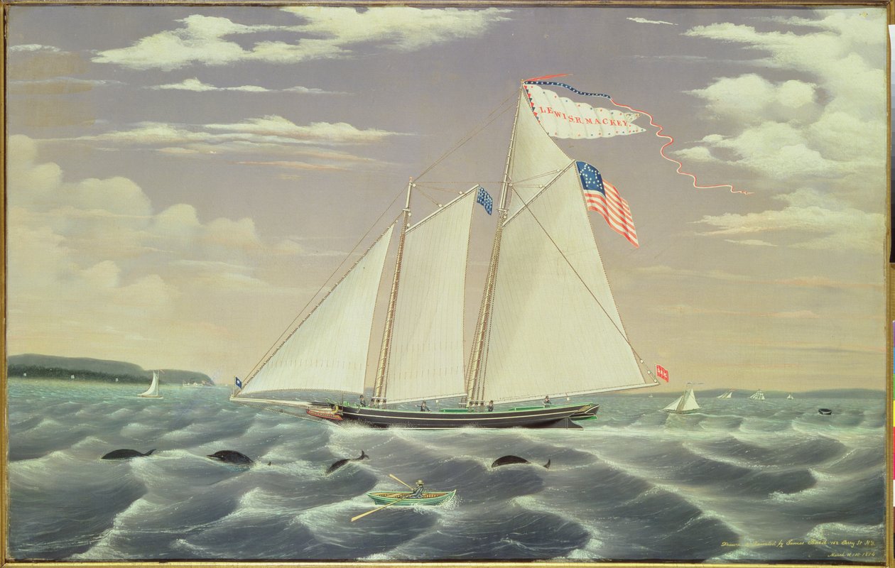 Schooner&39;Lewis R. Mackey&39;，1854 作者 詹姆斯·巴德