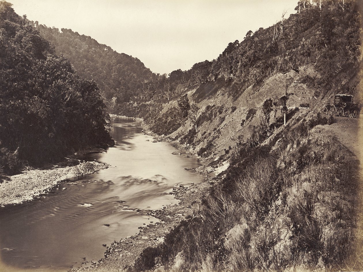 Manawatu Gorge 1英里从桥，1878年（蛋白打印） 作者 詹姆斯·布拉格