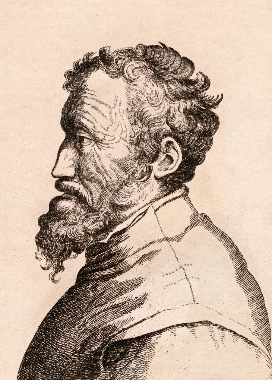 Michelangelo di Lodovico Buonarroti Simoni，来自真实原创的&39;75张着名画家肖像&39;的插图，于1817年在伦敦出版 作者 詹姆斯·吉尔丁