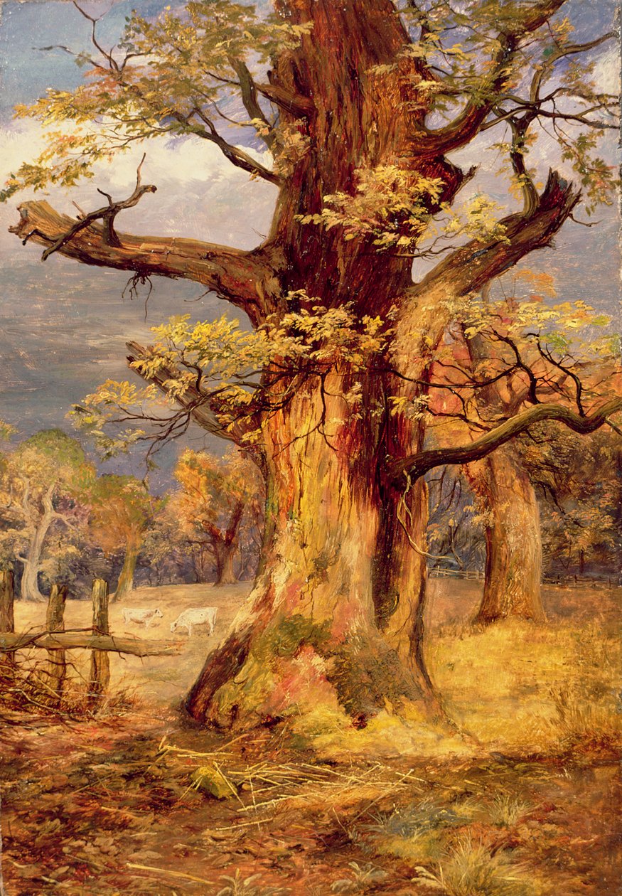 Blasted Oak，Galloway 作者 詹姆斯·詹恩·法德