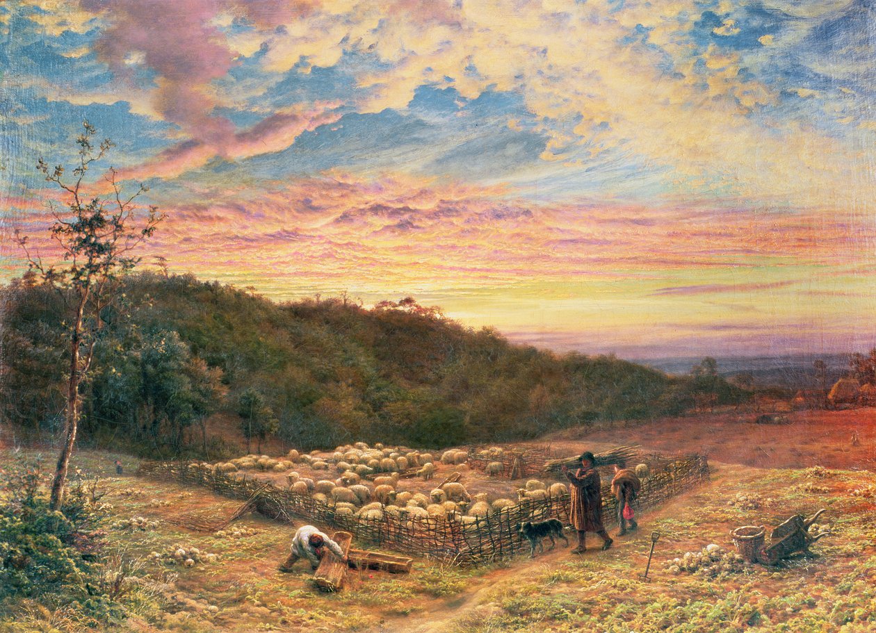 Sheepfold  - 秋天的早晨 作者 詹姆斯·托马斯·林内尔