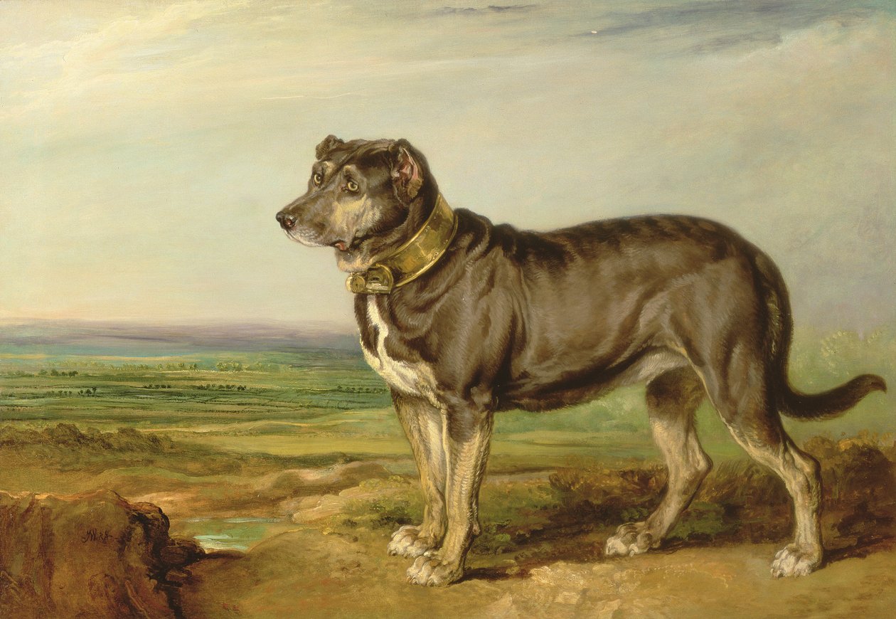 “Vic”的肖像，西班牙猎犬，c.1818-20 作者 詹姆斯·沃德