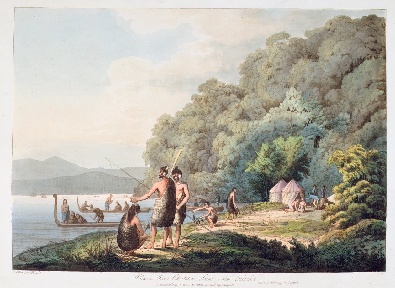 查看新西兰女王夏洛特声音，来自南海的景色，1809年（手工彩色的aquatint） 作者 詹姆斯·韦伯