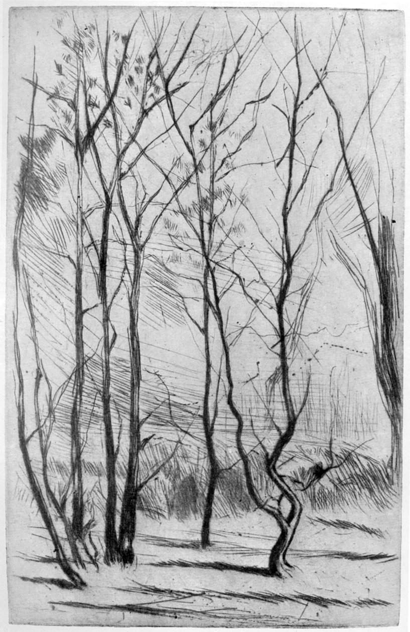 达姆·伍德（Dam Wood），c1875年1904年。 作者 詹姆斯·阿博特·麦克尼尔·惠斯勒