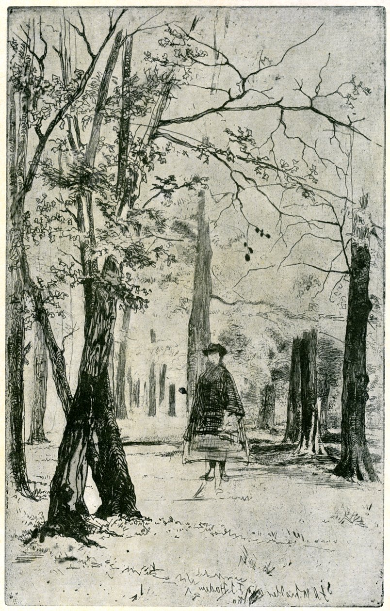 伍德（Wood），1904年。 作者 詹姆斯·阿博特·麦克尼尔·惠斯勒