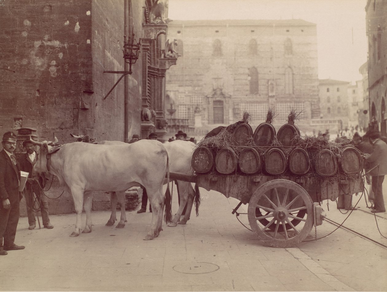 带牛的手推车，佩鲁贾，1880年代。 作者 詹姆斯·安德森