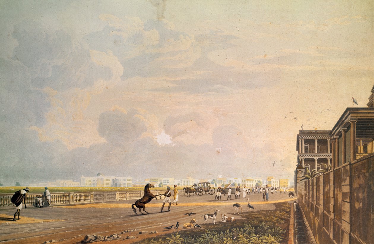 从加尔各答的Chouringhee路观看滨海艺术中心，由Robert Havell，酒吧刻。 1824 作者 詹姆斯·贝利·弗雷泽