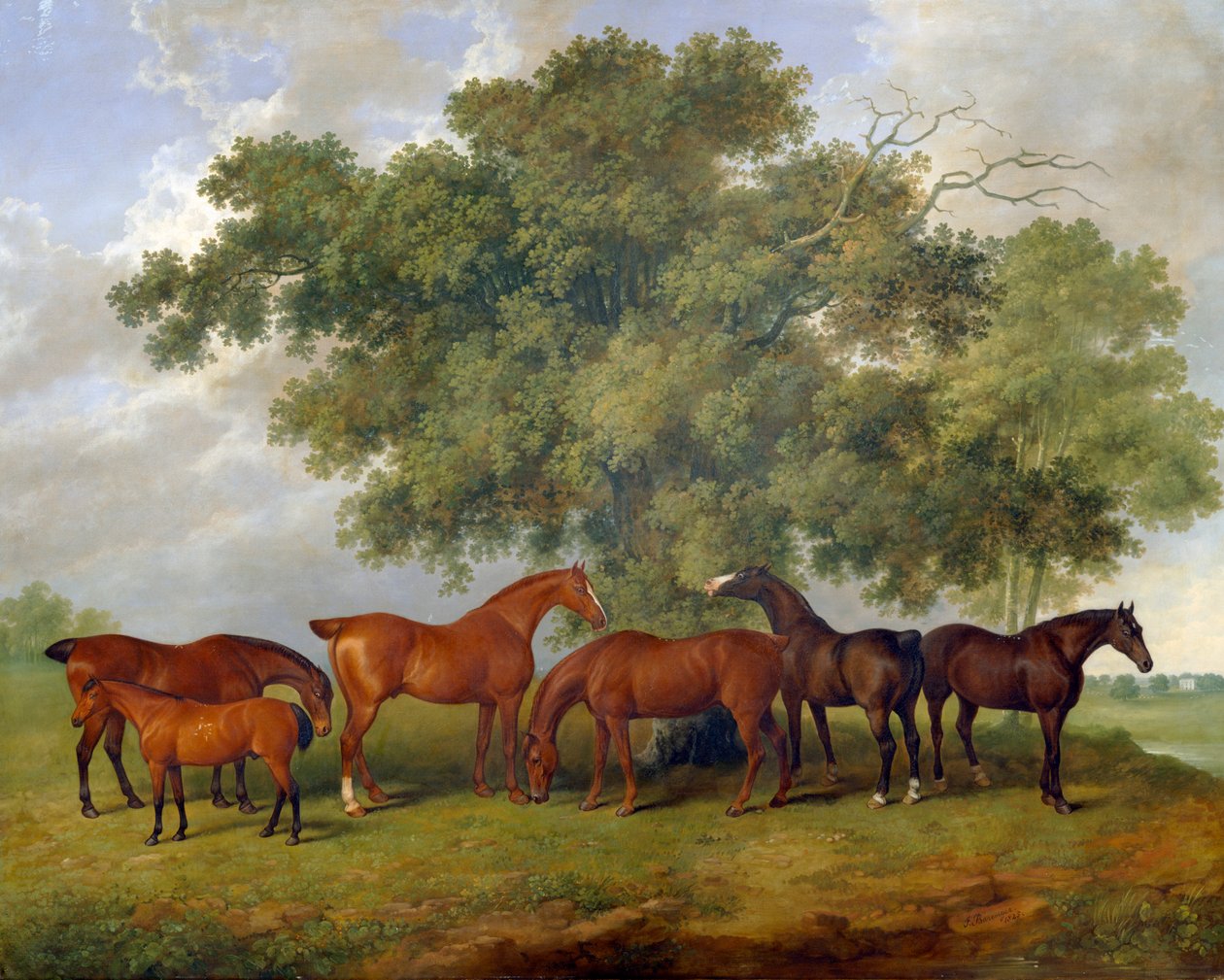 Theobald Stud》，1825年 作者 詹姆斯·巴伦格